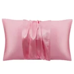 Solid Silk Pillowcase Hair Skin Protect Pillow Cover Bed Decorative Pillow Case Luxury Comfortable Home Bedding - Image 8